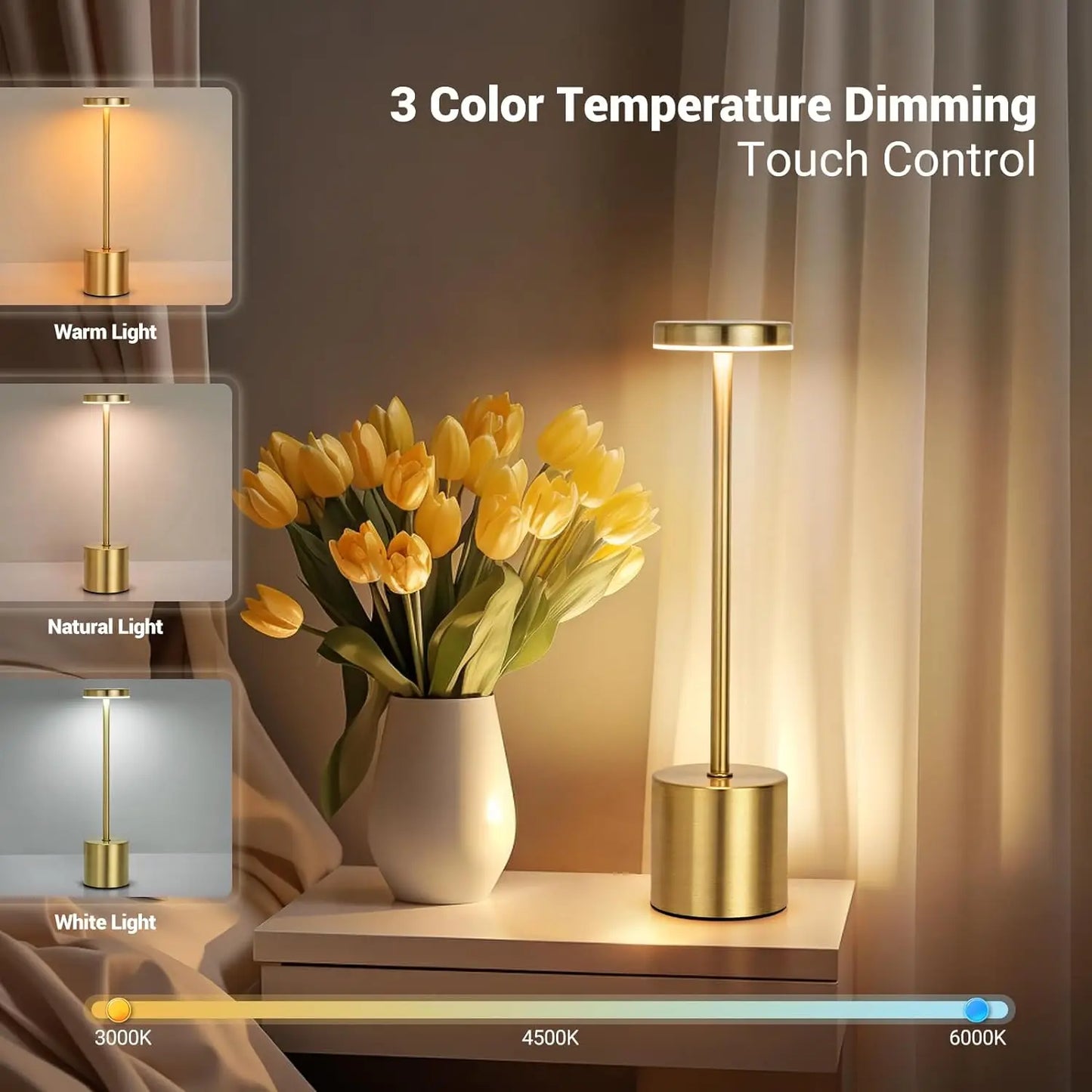 Simple LED Rechargeable Touch Metal Table Lamp
